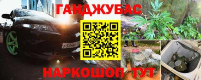 стаф Сланцы