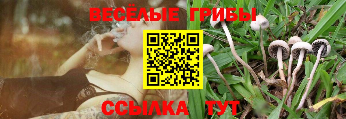Полевской  Псилоцибиновые грибы мухоморы  Псилоцибиновые грибы ЛСД  Вход с VPN 